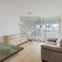 Strasbourg Ecoquartier Danube - Beau duplex familial