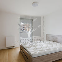 Strasbourg Ecoquartier Danube - Beau duplex familial