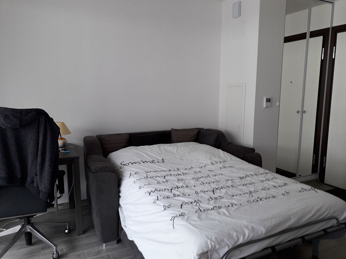 Appartement Strasbourg 1 pièce(s) 24 m2